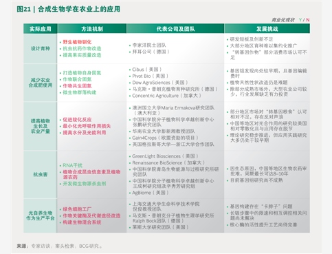2025年中國區域能源體系行業研究報告 智能電網技術咨詢視角